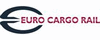 EURO100X40.gif